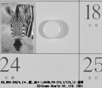 R8  �c�ʒu  1/125