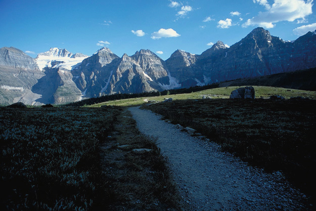 ���[�����΂���k����R���ԁA���[�`�o���[�g���C�����̃~�l�X�e�B�}�ΔȂ���݂��P�O�s�[�N�X�̕�X