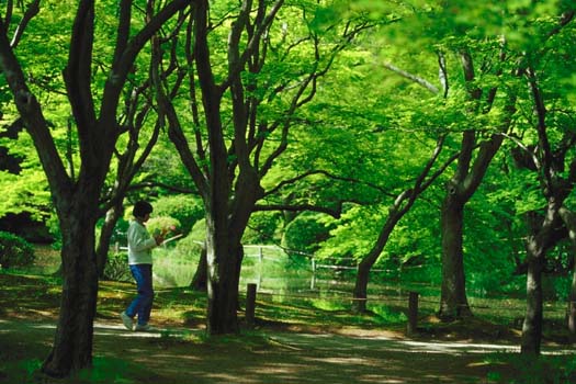 �ΉA�̃X�e�b�v