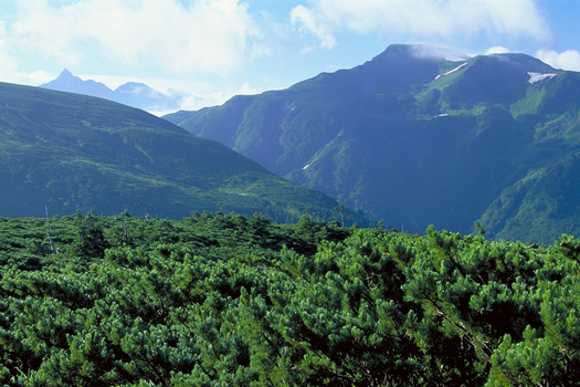 ���E�䍂�A�O���@�� - �A���v�X�뉀