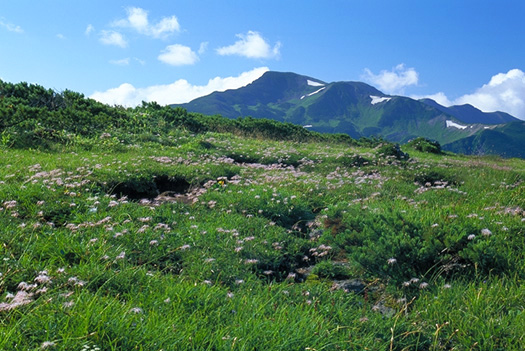 �A���v�X�뉀 - �O���@�؊x-2 �����ɋP�����񂮂��