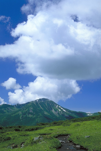 �ĉ_�ƍ����ܘY�x - �A���v�X�뉀