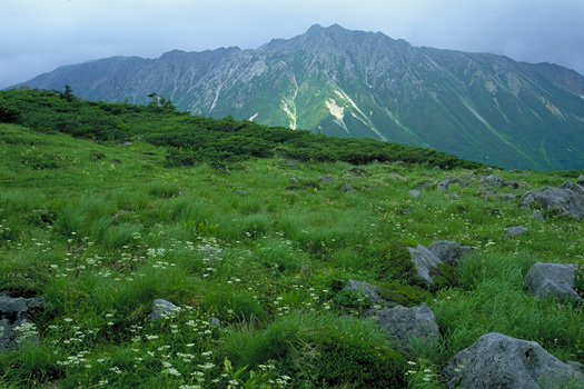 ���Ԕ��ƃK�X�鐅���x - ���X�C�X�뉀�ւ݂̂��ɂ�