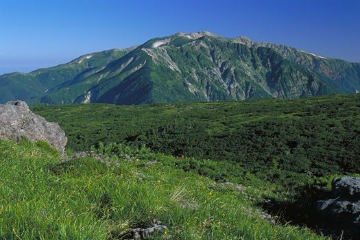 ��t�x - �A���v�X�뉀