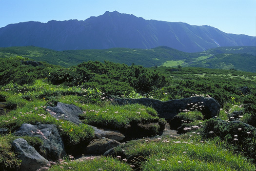 �����x - �A���v�X�뉀