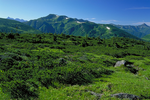 �A���v�X�뉀�^�� - �����瑄�E�䍂�A�O���@�؁A�}�̎R�X