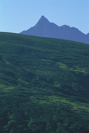 �V���� - �A���v�X�뉀