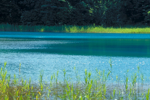 �����̕M�v(���֒�ܐF��)